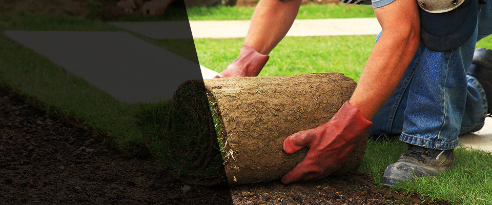 Pardeeville Landscapers
